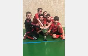 Victoire des U10U11 au tournoi en salle à Chananay