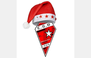 ESB : Bonnes fêtes de fin d'année